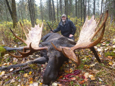 Moose hunt